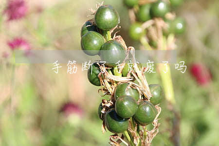 手筋断了手就废了吗