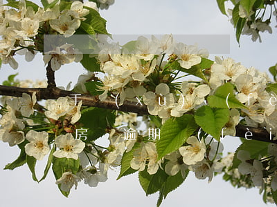 手續(xù)費(fèi)逾期公積金貸款(房貸逾期費(fèi)用)