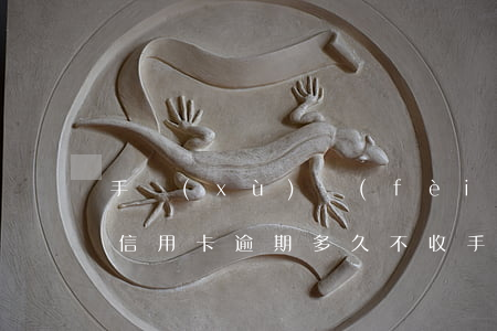 手續(xù)費(fèi)逾期影響信用嗎（信用卡逾期多久不收手續(xù)費(fèi)）
