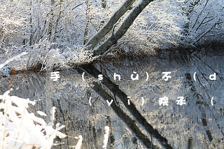手術(shù)不當(dāng)致患者受損，醫(yī)院承擔(dān)賠償責(zé)任
