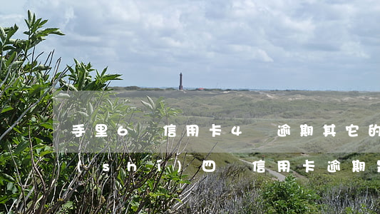 手里6張信用卡4張逾期其它的(若一人同時(shí)四張信用卡逾期是什么后果)