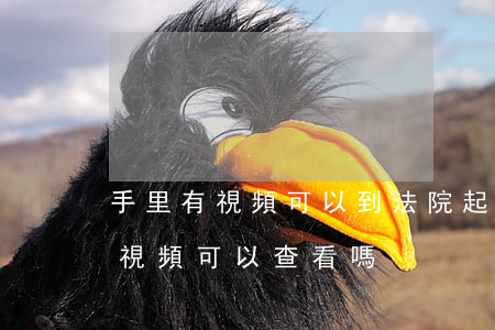 手里有視頻可以到法院起訴嗎(法院審理案件視頻可以查看嗎)