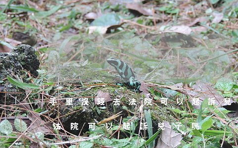 手里沒錢去法院可以起訴兒子嗎(手里沒錢去法院可以起訴兒子嗎)