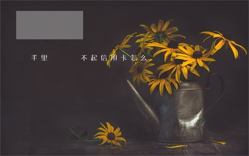 手里沒錢還不起信用卡怎么辦