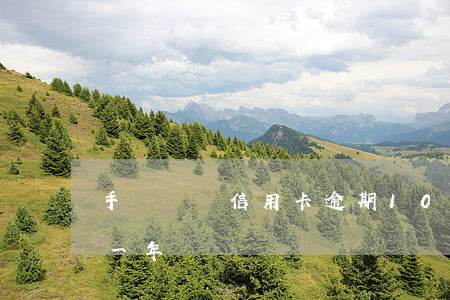 手頭幾張信用卡逾期(10張信用卡全部逾期一年)