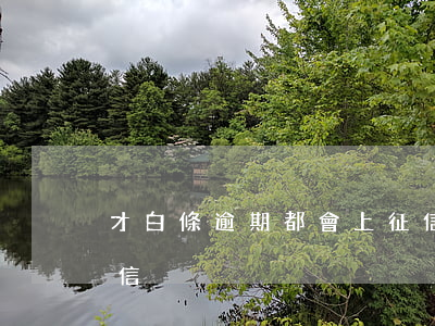 才白條逾期都會上征信嗎(白條逾期多久上征信)