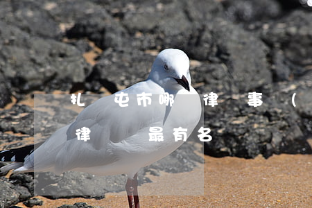 扎蘭屯市哪個律師事務(wù)所好(扎蘭屯律師誰最有名)