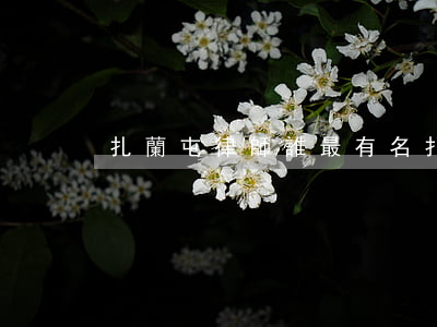 扎蘭屯律師誰最有名(扎旗律師電話號碼)