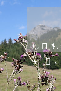 扎蘭屯租房網(wǎng)(扎蘭屯房產(chǎn)信息網(wǎng))