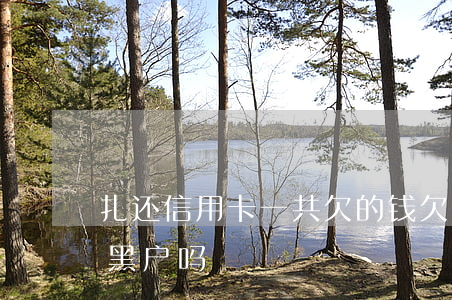 扎还信用卡一共欠的钱(欠信用卡钱还完还算黑户吗)