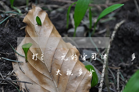 打2萬元的官司律師費多少(打官司20萬律師費大概多少錢)