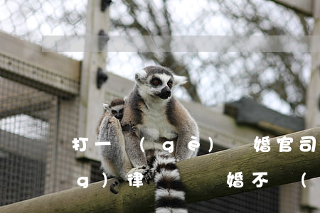 打一個(gè)離婚官司可以不請(qǐng)律師嗎(離婚不請(qǐng)律師行嗎)