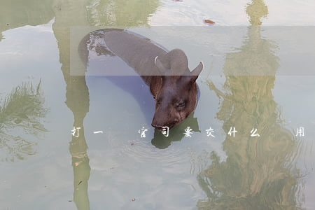 打一場官司要交什么費用