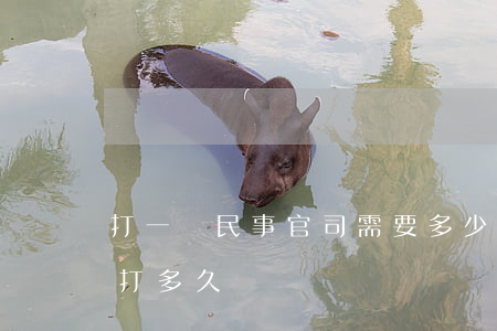 打一場民事官司需要多少錢(一場民事官司要打多久)