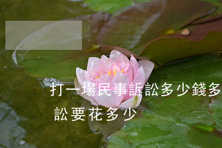 打一場民事訴訟多少錢多長時間(一場民事訴訟要花多少)