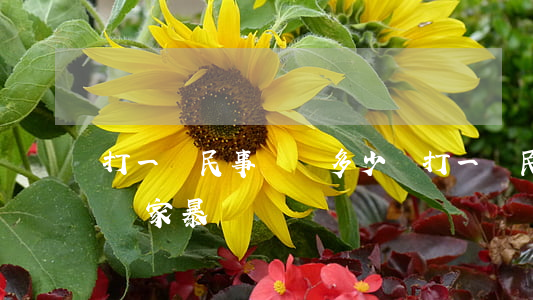 打一場民事訴訟多少錢(打一場民事訴訟多少錢家暴)