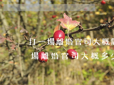 打一場離婚官司大概需要多少錢(找律師打一場離婚官司,大概多少錢?)