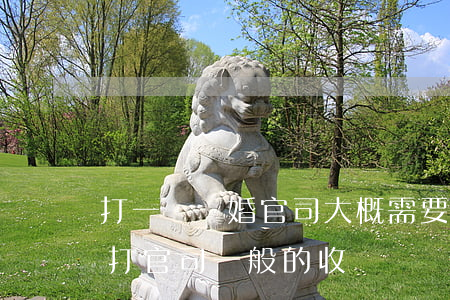 打一場離婚官司大概需要多少錢(離婚請律師打官司一般的收費標準是多少)