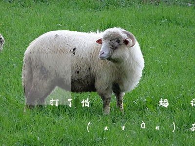 打了借條沒給錢起訴我(打了借條但沒有收到錢現(xiàn)在被起訴怎么辦)
