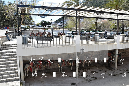 打了欠條一直不還錢(qián)怎么辦(打的欠條不還錢(qián)怎么辦)