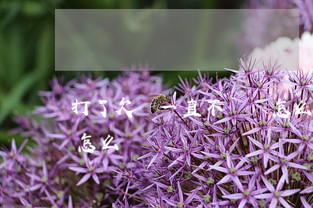 打了欠條一直不還錢怎么辦(打的欠條不還錢怎么辦)