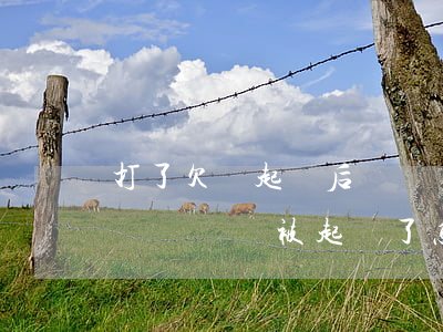 打了欠條起訴后沒錢還怎么辦(給別人打了欠條沒錢還被起訴了怎么辦)
