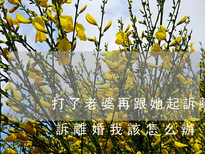 打了老婆再跟她起訴離婚(老婆賭氣去法院起訴離婚我該怎么辦?)