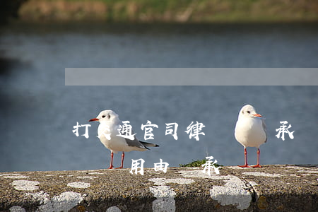 打交通官司律師費誰承擔(交通事故打官司律師費用由誰承擔)