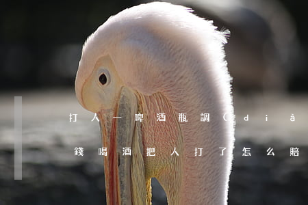 打人一啤酒瓶調(diào)解一般賠多少錢(喝酒把人打了怎么賠償)