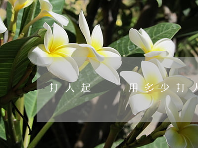 打人起訴費用多少(打人起訴怎么起訴)