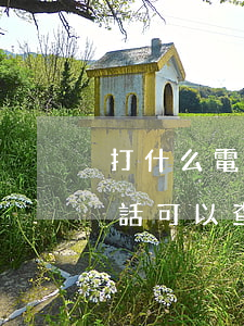 打什么電話可以查詢是否有逾期-打什么電話可以查詢是否有逾期記錄