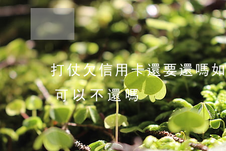 打仗欠信用卡還要還嗎(如果打仗銀行的貸款可以不還嗎)