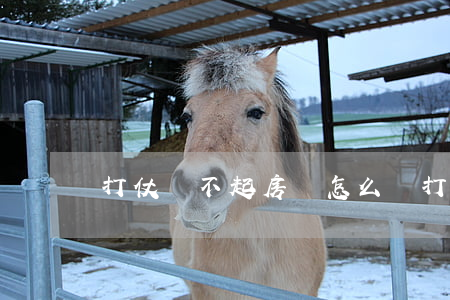 打仗還不起房貸怎么辦（打仗還不起貸款怎么辦）