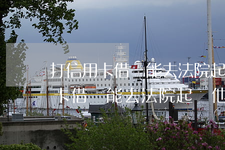 打信用卡借條能去法院起訴他人嗎-打信用卡借條能去法院起訴他人嗎有效嗎