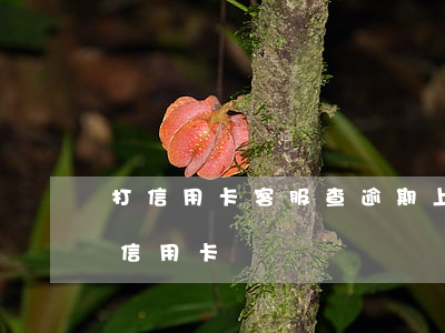 打信用卡客服查逾期上征信嗎 征信逾期辦理信用卡