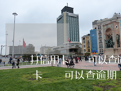 打信用卡電話可以查逾期嗎欠款嗎-打信用卡電話可以查逾期嗎欠款嗎是真的嗎