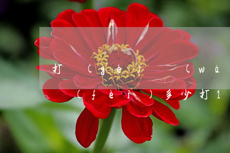 打個(gè)兩萬(wàn)元的官司律師費(fèi)多少(打1萬(wàn)元的官司,大概要多少律師費(fèi)?)