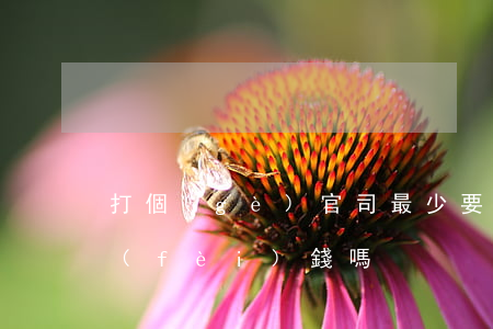打個(gè)官司最少要花多少錢(打官司費(fèi)錢嗎)