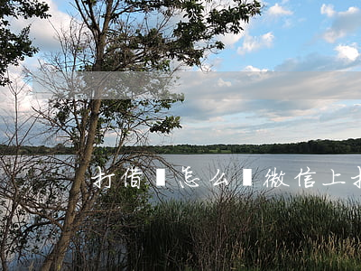 打借條怎么寫(微信上打借條怎么寫)