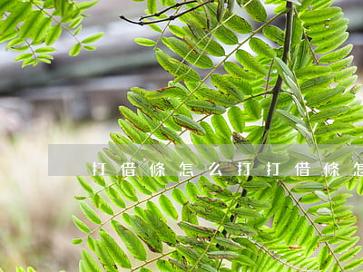 打借條怎么打(打借條怎么打圖片)