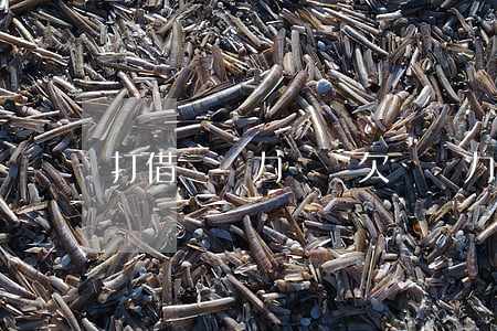 打借條無力償還(欠條無力還款最佳處理方法)