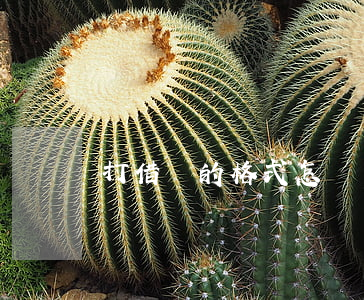 打借條的格式怎樣寫(如何寫借條格式是什么)