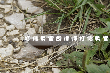 打债务官司律师(打债务官司律师费怎么收)