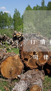 打債務(wù)官司律師(打債務(wù)官司律師費(fèi)多少錢(qián))