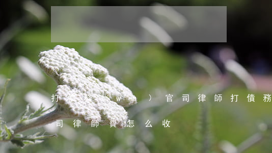 打債務(wù)官司律師(打債務(wù)官司律師費怎么收)
