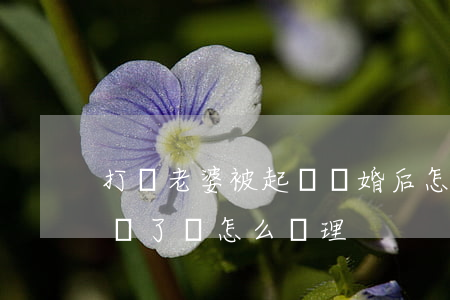 打傷老婆被起訴離婚后怎么辦(老婆把老公打傷了該怎么處理)