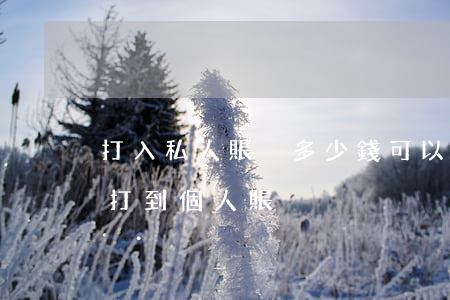 打入私人賬戶多少錢可以起訴(法院款多久能打到個人賬戶)