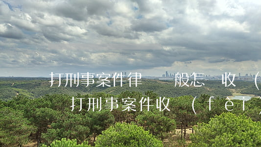 打刑事案件律師一般怎樣收費(fèi)(律師打刑事案件收費(fèi)有標(biāo)準(zhǔn)嗎?)