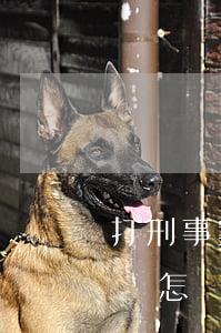 打刑事案件律師一般怎樣收費(刑事案件的律師怎樣收取費用的)