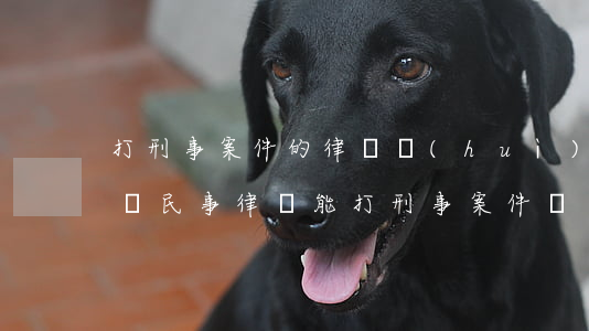 打刑事案件的律師會(huì)打民事案件嗎(民事律師能打刑事案件嗎)